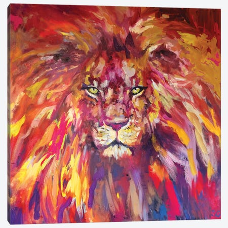 Lion Canvas Print #SGN63} by Sue Gardner Canvas Art