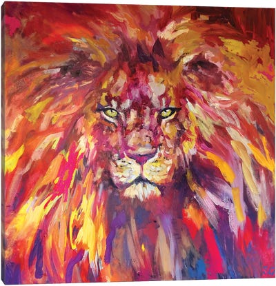 Lion Canvas Art Print - Sue Gardner