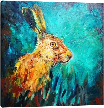 Teal Hare Canvas Art Print - Sue Gardner