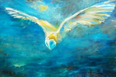 Forever In Flight by Sue Gardner framed canvas print