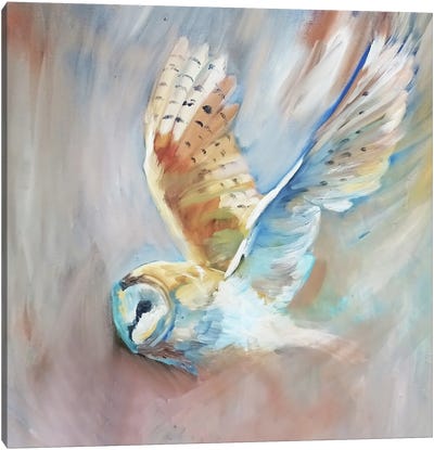 Silent Wings Canvas Art Print - Sue Gardner