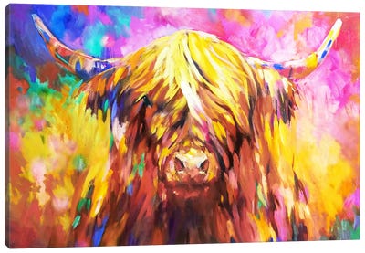 Lossie II Canvas Art Print - Highland Cow Art