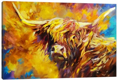 Windswept Canvas Art Print - Highland Cow Art