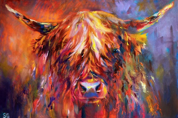 Highland Cows