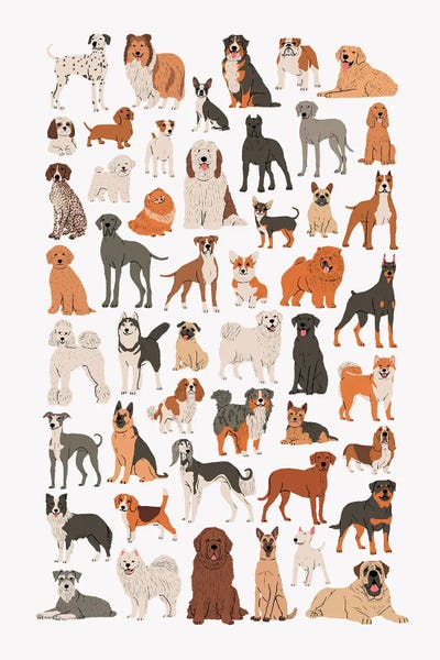 Fifty Dogs by Elad Shagrir framed canvas print