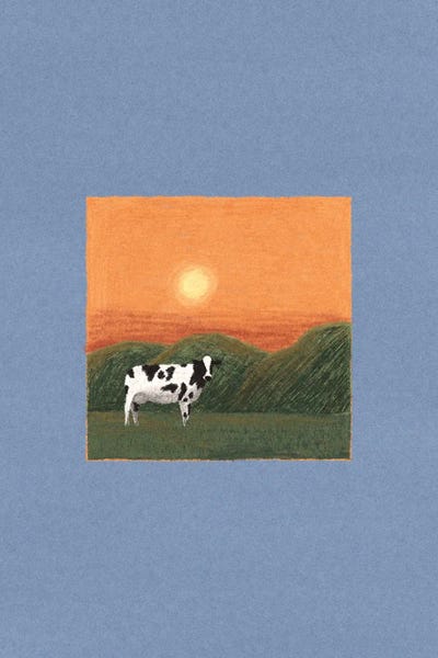 Fine Art Print: Lonely Cow by Elad Shagrir
