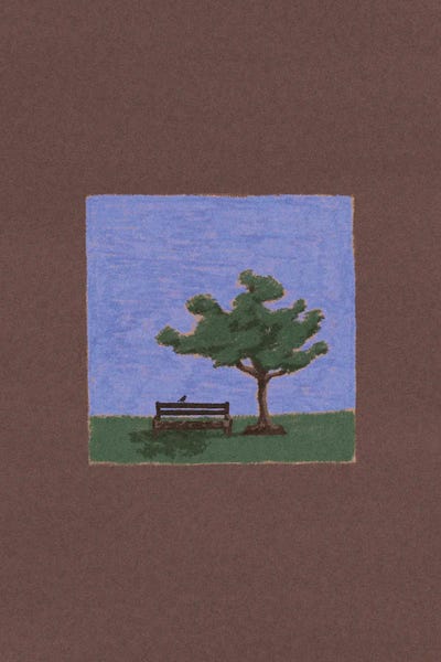 The Tree And The Bench by Elad Shagrir framed canvas print