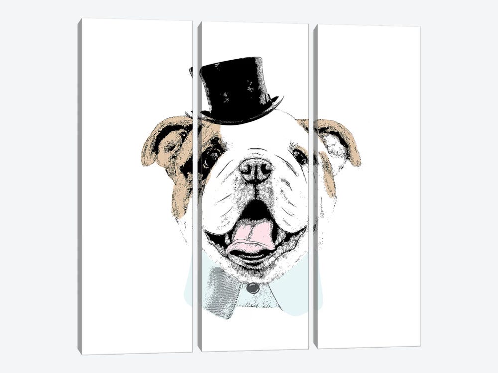 Top Hat Dog by SD Graphics Studio 3-piece Canvas Wall Art