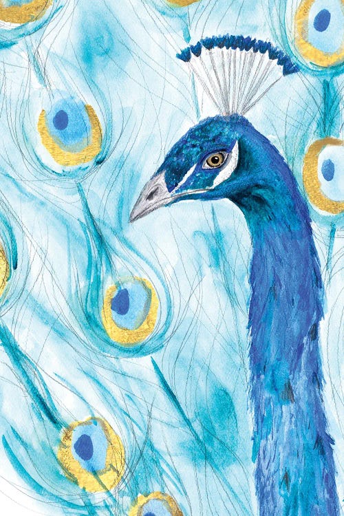 Majestic Peacock by SD Graphics Studio canvas print