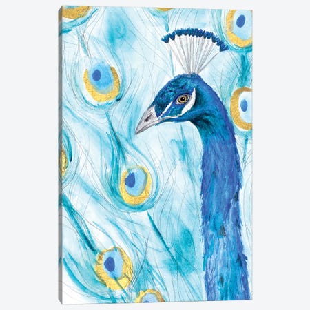 Majestic Peacock Canvas Print #SGS121} by SD Graphics Studio Canvas Artwork