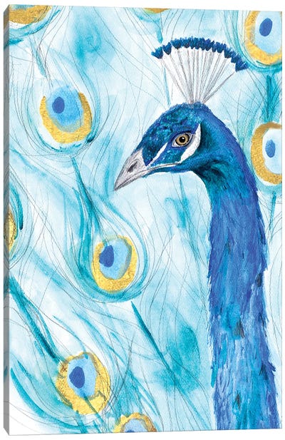 Majestic Peacock Canvas Art Print - Sd Graphics Studio