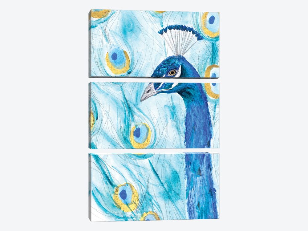 Majestic Peacock by SD Graphics Studio 3-piece Canvas Artwork