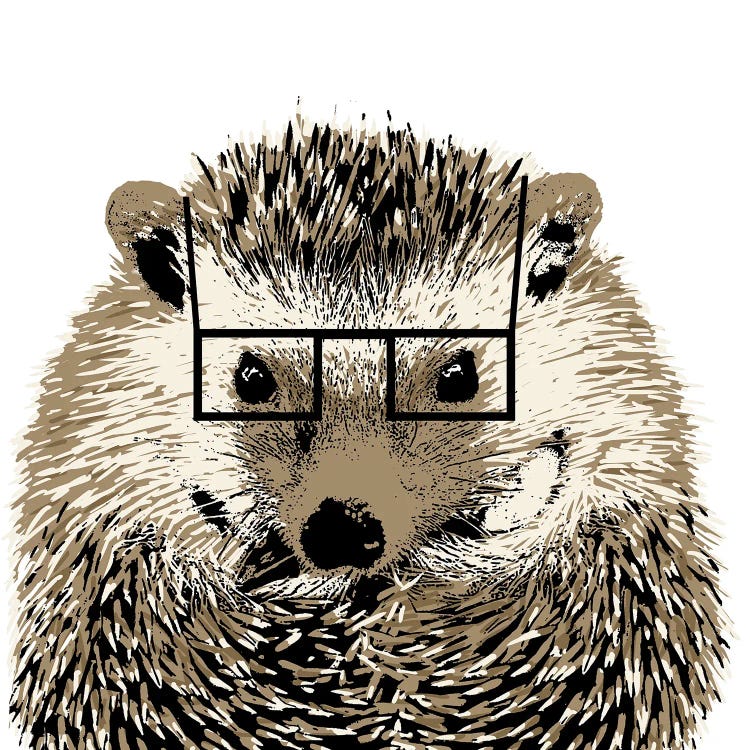 Good Looking Hedgehog