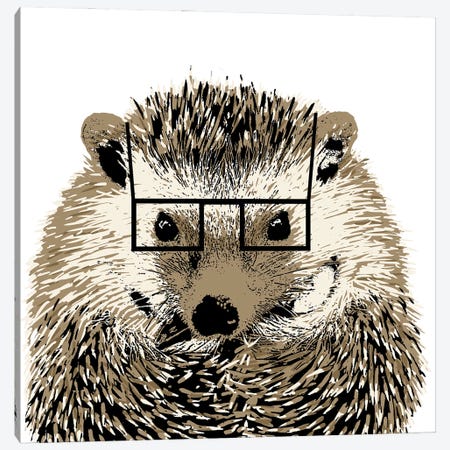 Good Looking Hedgehog Canvas Print #SGS149} by SD Graphics Studio Canvas Artwork