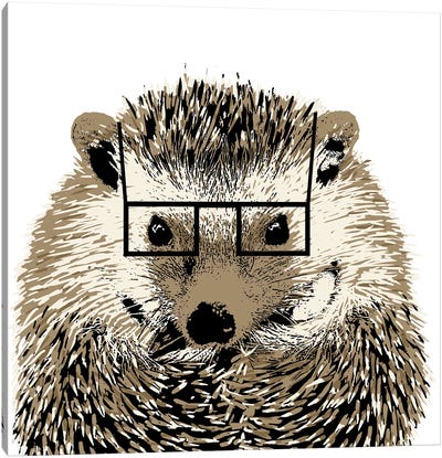 Good Looking Hedgehog Canvas Art Print - Hedgehogs
