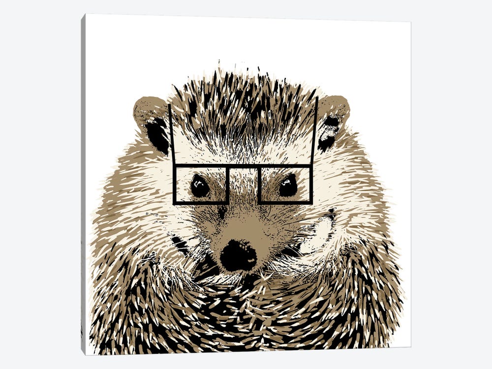 Good Looking Hedgehog by SD Graphics Studio 1-piece Canvas Art