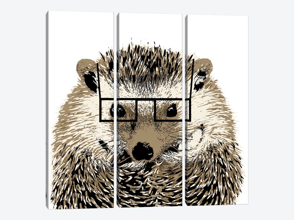 Good Looking Hedgehog by SD Graphics Studio 3-piece Canvas Art