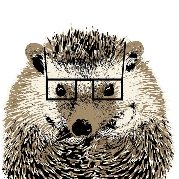 Hedgehogs: Good Looking Hedgehog by SD Graphics Studio