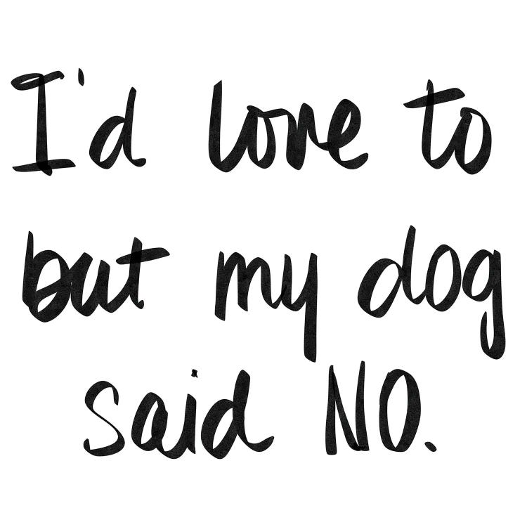 My Dog Said No