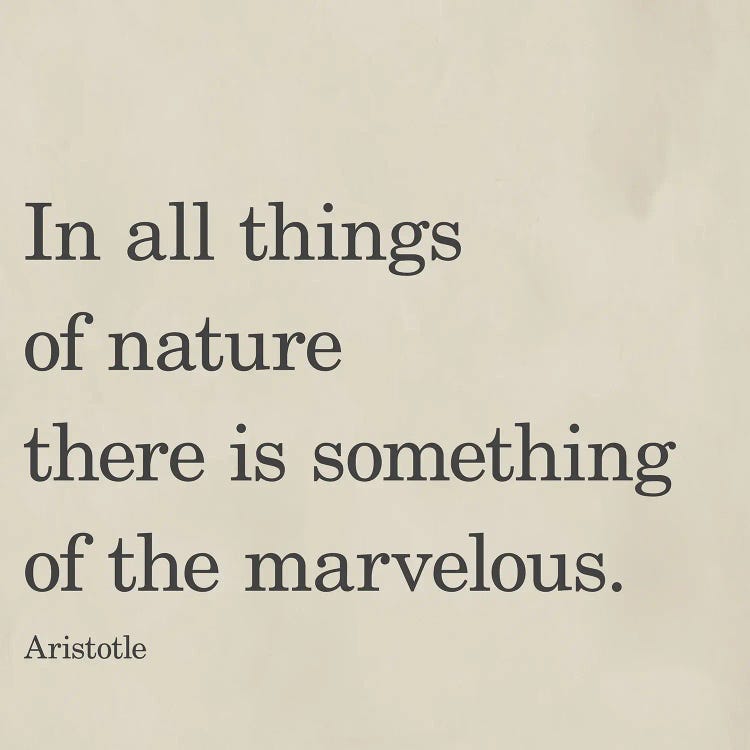 Something Of The Marvelous