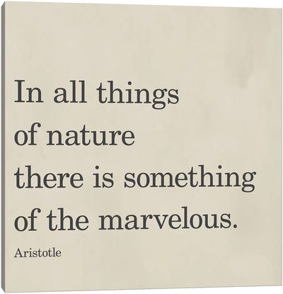 Something Of The Marvelous Canvas Art Print - Environmental Conservation Art