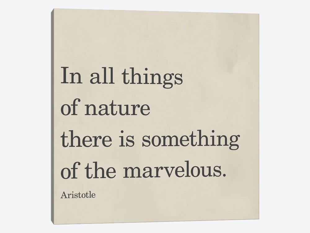 Something Of The Marvelous by SD Graphics Studio 1-piece Canvas Wall Art