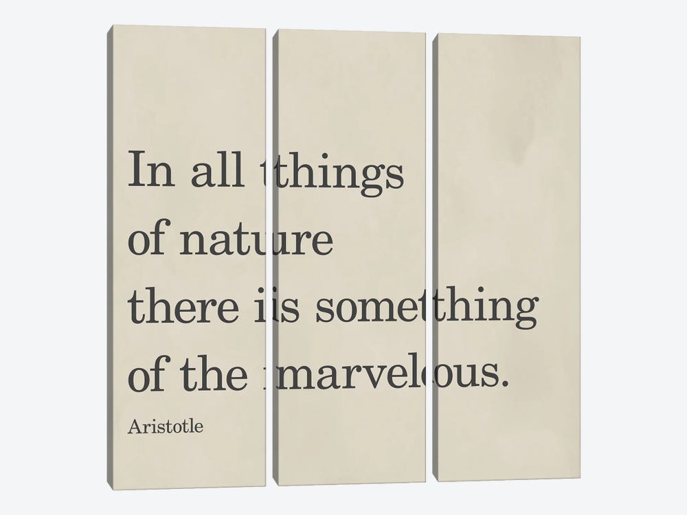 Something Of The Marvelous by SD Graphics Studio 3-piece Canvas Art
