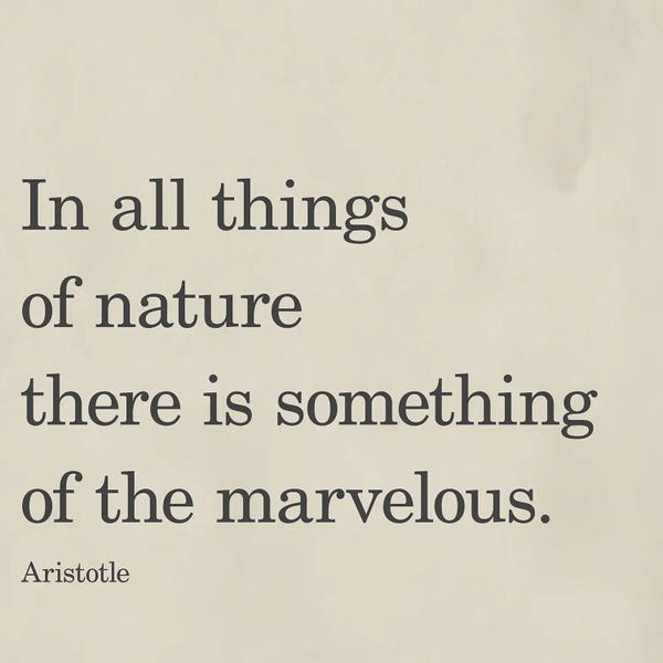 Something Of The Marvelous