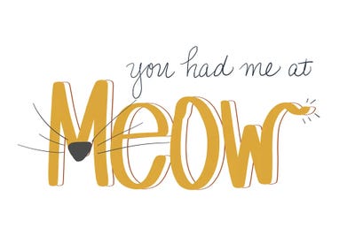 You Had Me At Meow by SD Graphics Studio canvas print