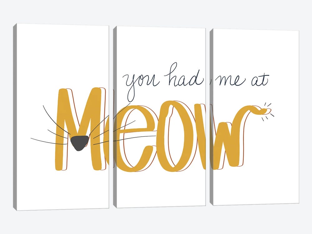 You Had Me At Meow by SD Graphics Studio 3-piece Canvas Art