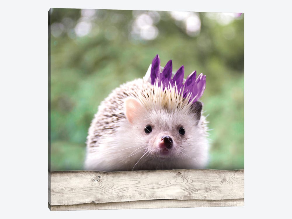 Hedgehog With Crown by SD Graphics Studio 1-piece Canvas Wall Art