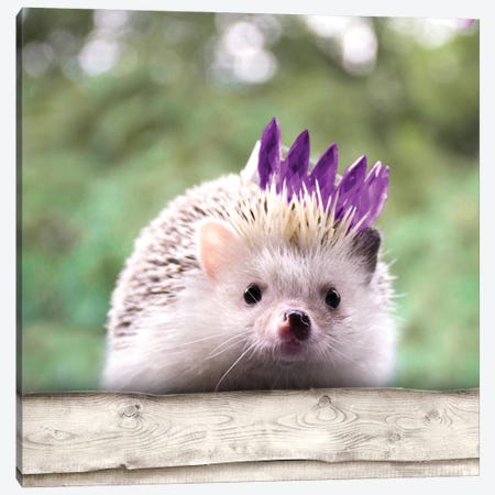 Hedgehog With Crown Canvas Print #SGS174} by SD Graphics Studio Canvas Artwork