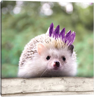 Hedgehog With Crown Canvas Art Print - Hedgehogs