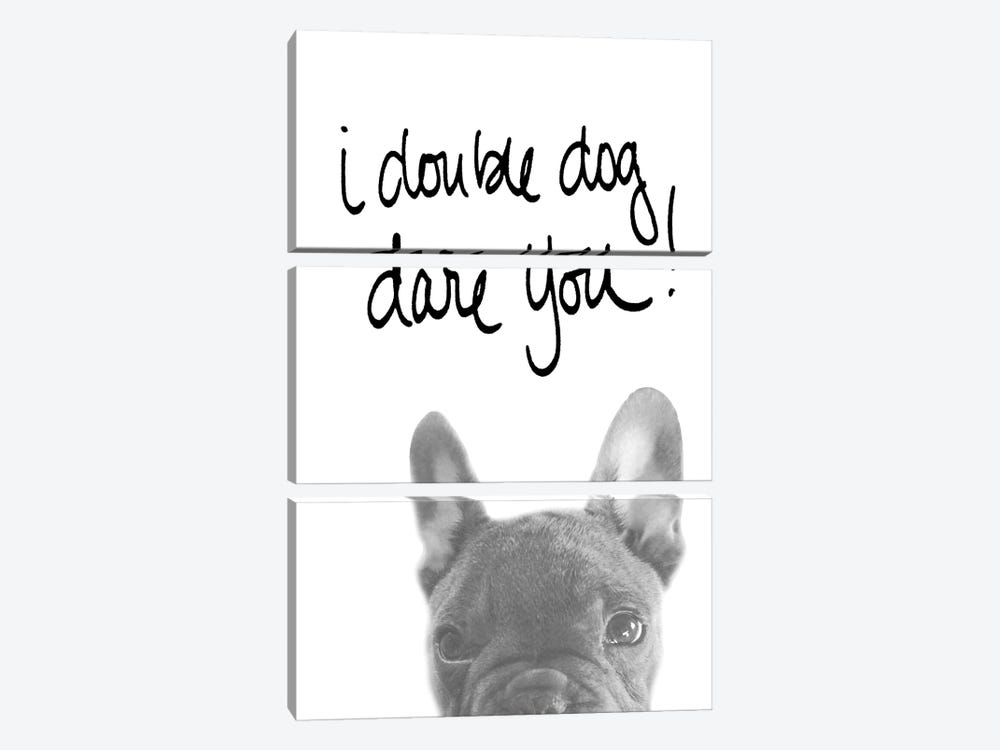 I Double Dog Dare You by SD Graphics Studio 3-piece Canvas Print