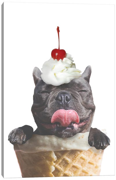 Ice Cream Dog Canvas Art Print - Ice Cream & Popsicle Art