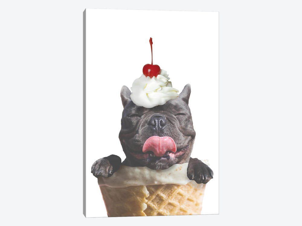 Ice Cream Dog by SD Graphics Studio 1-piece Canvas Artwork