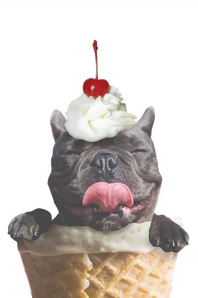 French Bulldogs: Ice Cream Dog by SD Graphics Studio