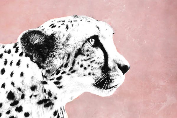 Leopards: Wild by SD Graphics Studio