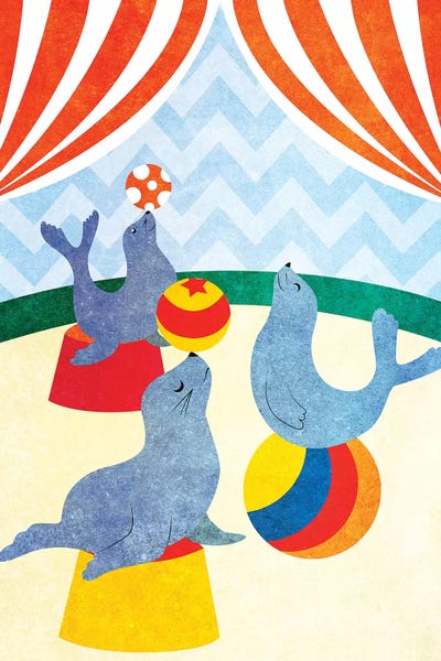 Seals & Sea Lions: Seals Center Stage II by SD Graphics Studio