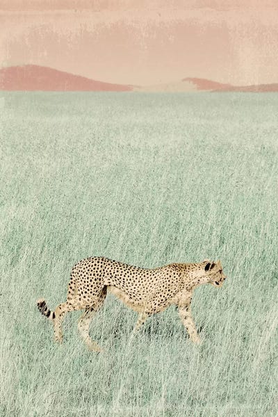 Cheetah in the Wild by SD Graphics Studio canvas print