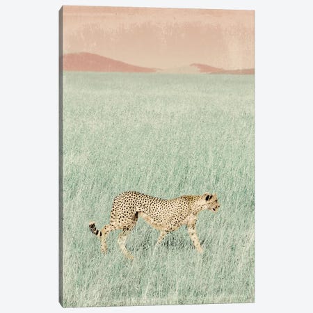 Cheetah in the Wild Canvas Print #SGS54} by SD Graphics Studio Canvas Print