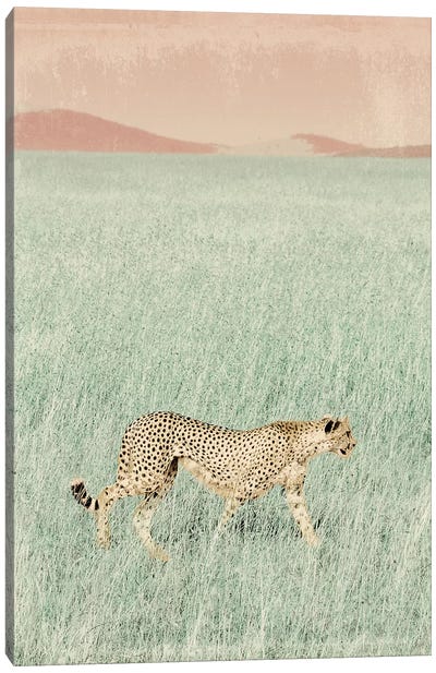 Cheetah in the Wild Canvas Art Print - Sd Graphics Studio