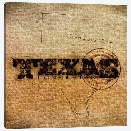 Texas Lone Star Canvas Print #SGS66} by SD Graphics Studio Canvas Art