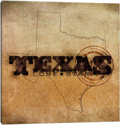 Texas Lone Star Canvas Art Print - Sd Graphics Studio