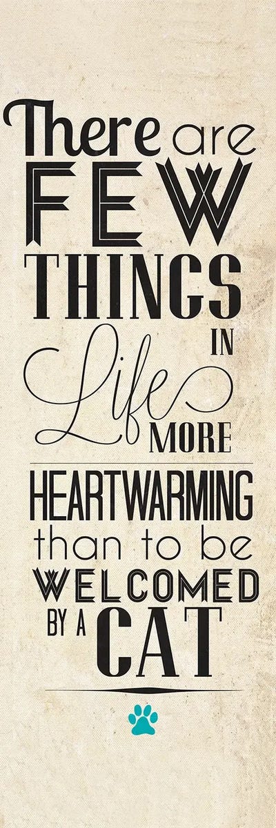 Cat Type by SD Graphics Studio framed canvas print