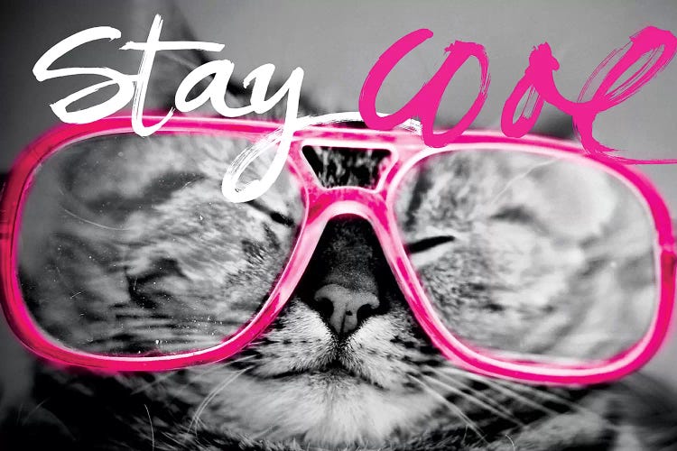 Stay Cool Cat