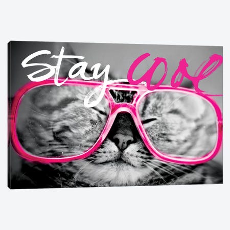 Stay Cool Cat Canvas Print #SGS9} by SD Graphics Studio Canvas Print