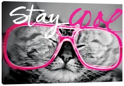 Stay Cool Cat Canvas Art Print - Sd Graphics Studio