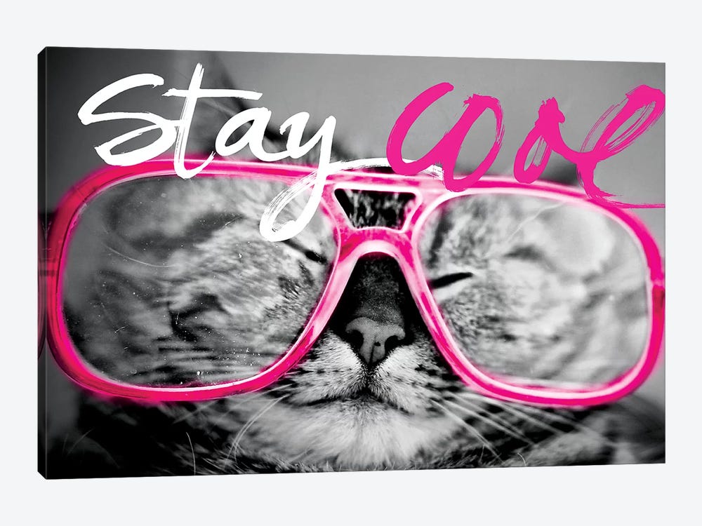 Stay Cool Cat by SD Graphics Studio 1-piece Canvas Artwork