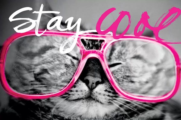 Stay Cool Cat